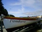 fion1