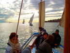 SETE-Bettes