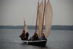 36 Carolus Quinto
