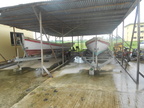 DSCN6987