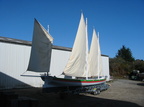 IMG 3974