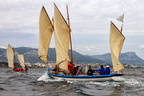 TSR-IMG 3309