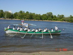 IPH0361