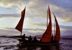 04 bantry dz