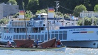 IMG 4214