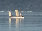 Sailing Verite