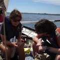 dz2010-06