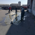 2017-04-08 Photo02