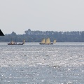 IMG 9952