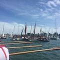 61355411 1871116856367177 2326998029543931904 n